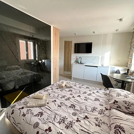 Damir Skomina كوبر