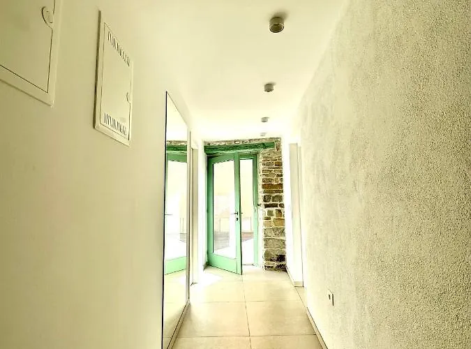 Damir Skomina Κόπερ