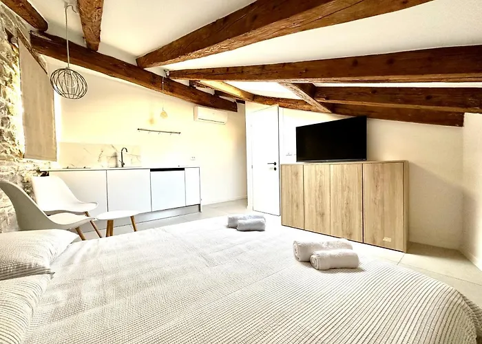 Διαμέρισμα Damir Skomina