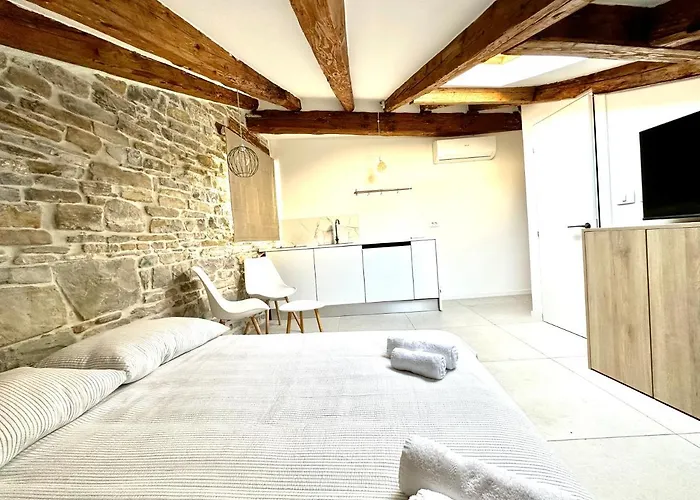 Damir Skomina * Koper