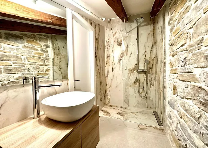 Damir Skomina * Koper