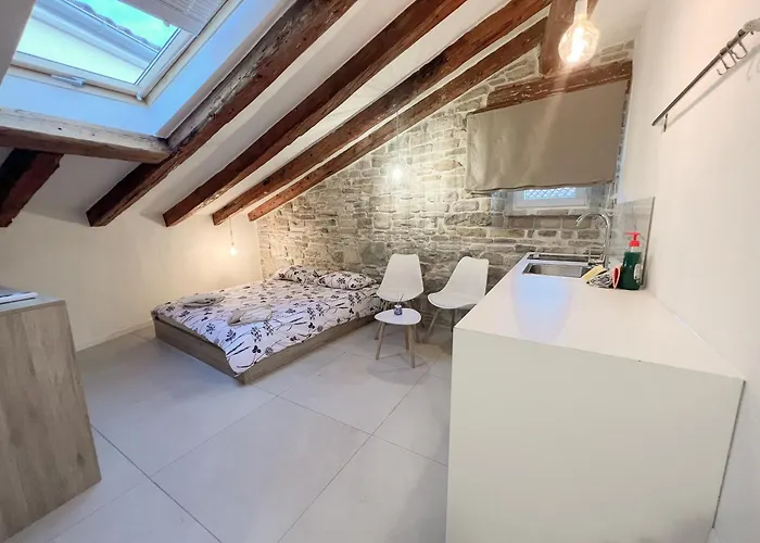 Damir Skomina Κόπερ